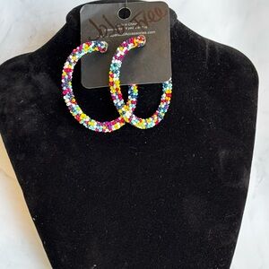 Paparazzi seed bead earrings